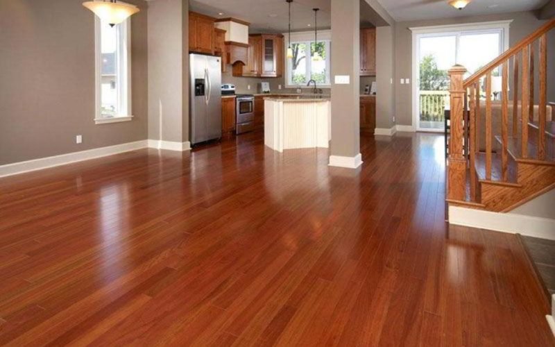 Jatoba 2